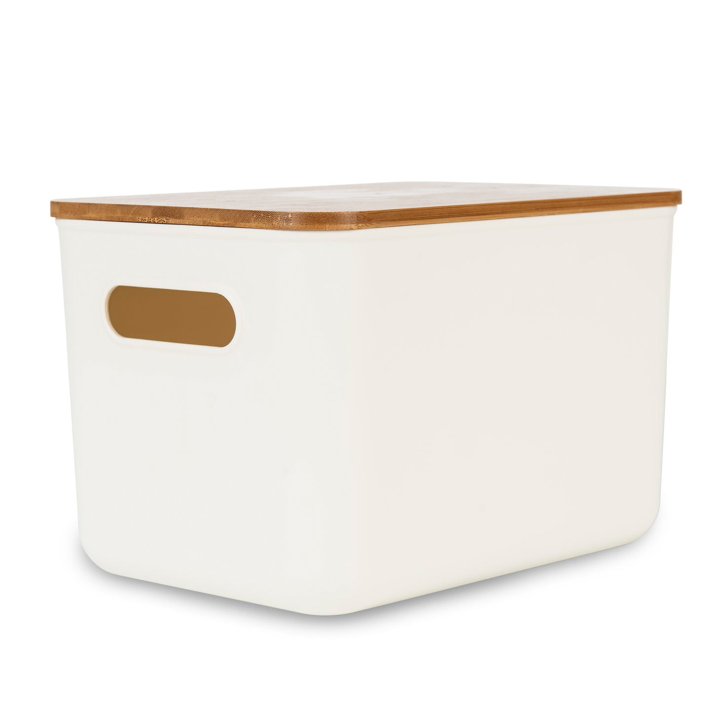 Storage Container - Medium